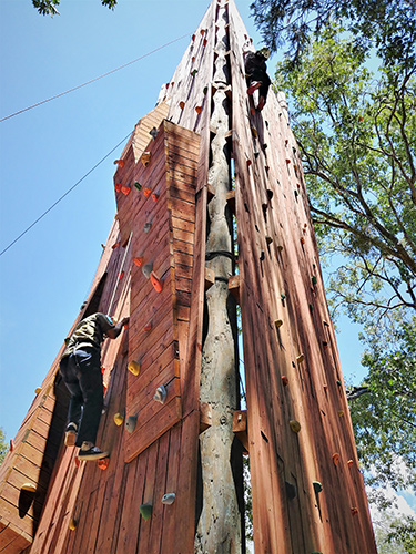 climbing-Wall